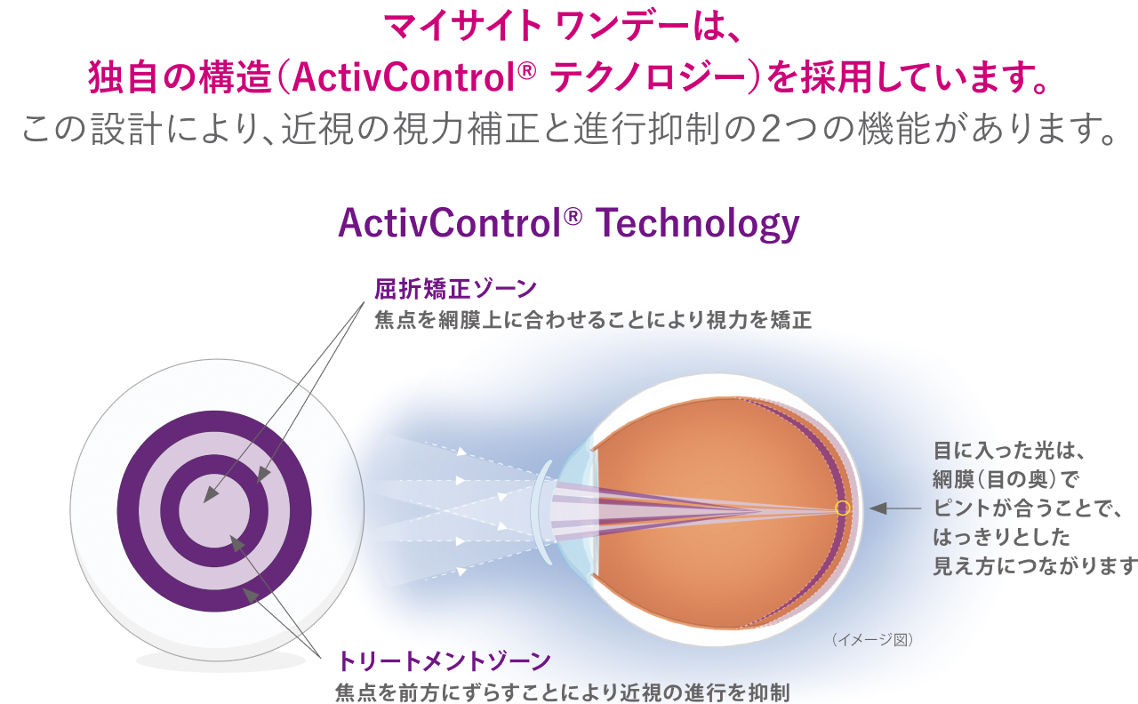 マイサイト